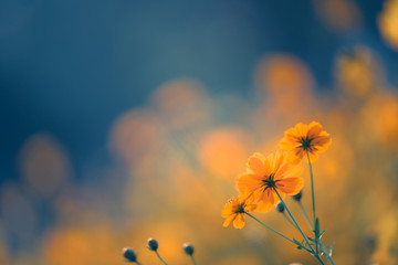 小对象生气了怎么哄