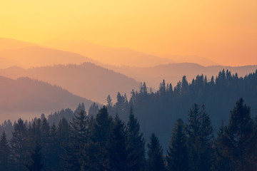 新机皇遭吐槽 三星GALAXY SIII另类解析