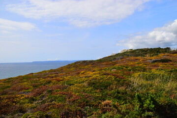 我国实行对外开放的根本目的是