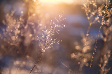 张必清教授：要让每个家庭都有一名懂健康的人？