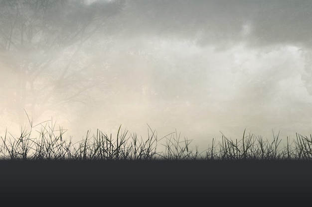 张必清教授：要让每个家庭都有一名懂健康的人？