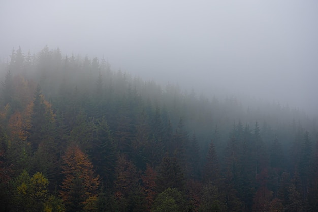 微尘什么意思？