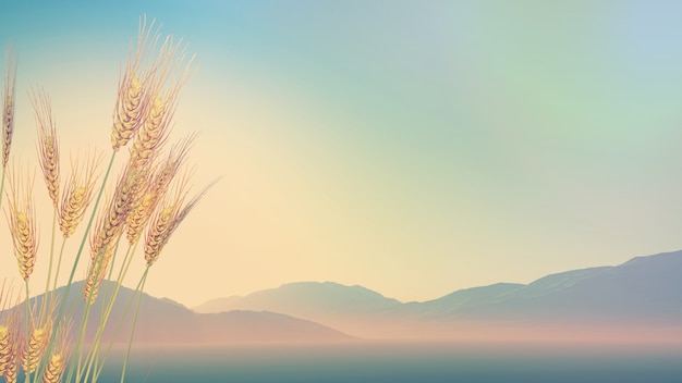 一批法律法规下月起施行！